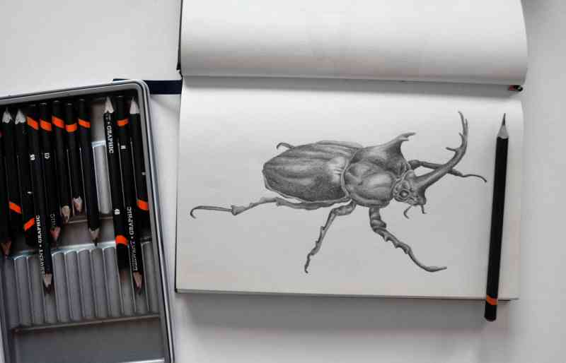 Ilustración del artículo Escribir en imagen