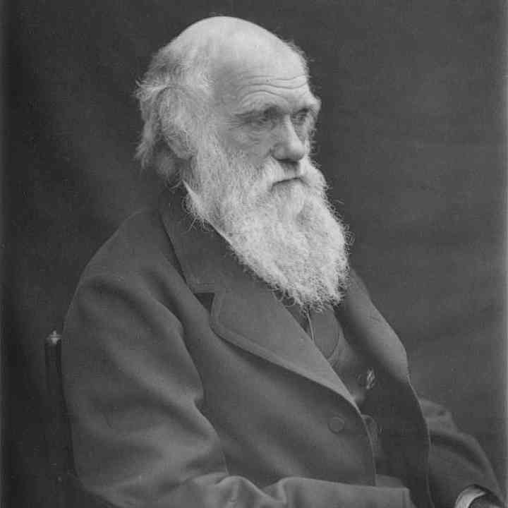 Ilustración principal del artículo Aportes de Charles Darwin al Diseño
