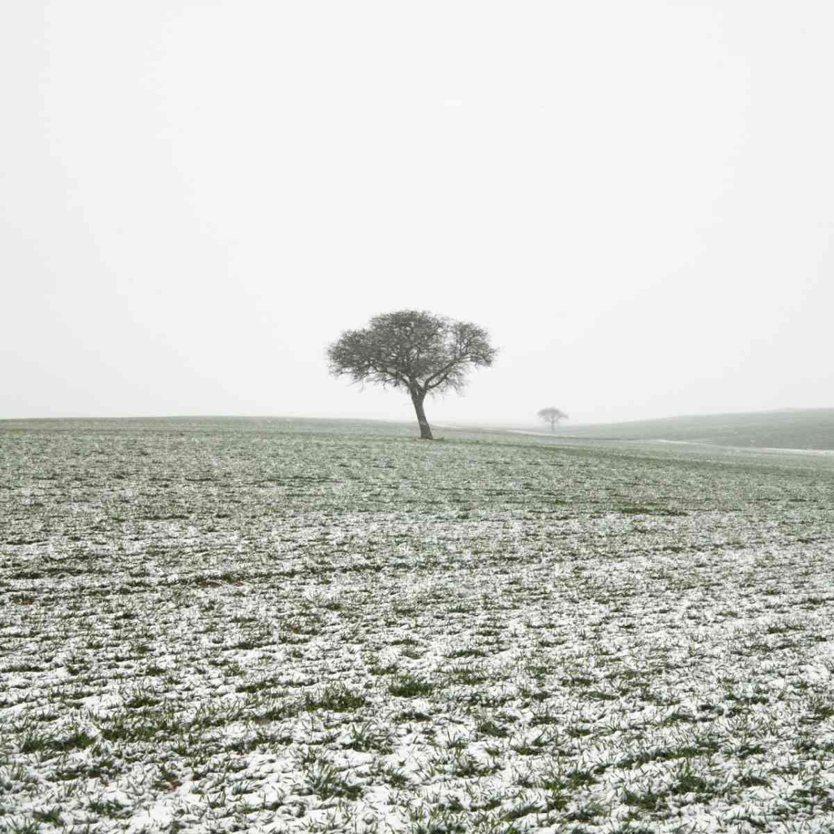 Ilustración para el artículo Nihilismo proyectual: el vicio que frena la teoría del diseño