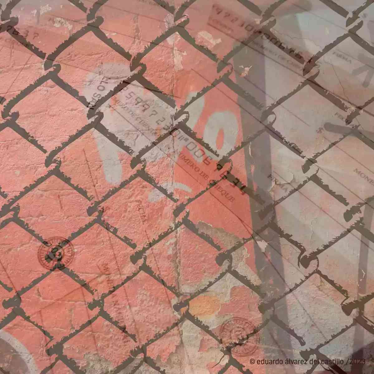 Immagine dell’articolo